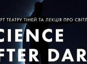 Science after dark: выступление театра теней Verba и лекция о свете