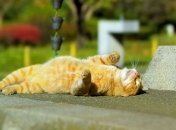 Когда в Украину вернется тепло