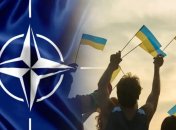 FPV-дрон на вооружении ВСУ