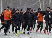 "Полтава" - "Шахтер": тренировка Горняков (Фото)