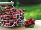 6 июня нельзя ломать ветки шиповника