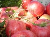 19 августа 2015, примета дня.  Яблочный Спас