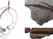 Найдены свидетельства неолитического культа черепов