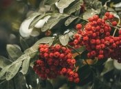 Праздник 23 сентября: главные приметы и что категорически запрещено делать