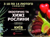 До Дня Всіх Закоханих в Києві відбудеться ярмарок "Love is..."