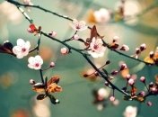 Погода в Україні