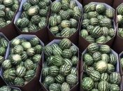 В Киев плывет баржа с херсонскими арбузами  