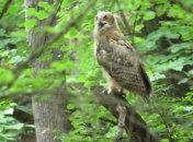 На Донетчине появились новые природных заказники (Фото)