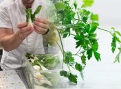 Зелень будет свежая и хрустящая