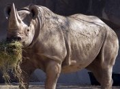 Беспилотники будут использоваться для наблюдения за животными