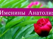 Именины (День Ангела) Анатолия: значение имени и поздравления