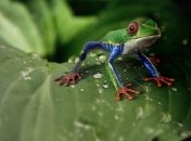 Стало известно, как человечество изменило планету за последние 50 лет