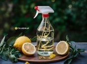 Больше не придется покупать "химию" в магазине