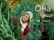 Аллергия на Новый год: новогодняя елка может вызвать поллиноз