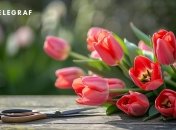 Неправильний догляд може вбити тюльпани (зображення створено за допомогою ШІ)