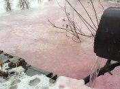 В Киеве река стала розовой