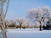 Прогноз погоды в Украине на сегодня: будет снежно