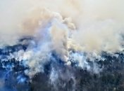 Глава Гослесагентства о ситуации в Житомирской области: Осталось два пожара