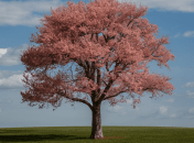 Вишневое дерево требует правильного ухода (изображение создано с помощью ИИ)