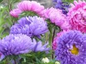 Прогноз погоды на 19 августа: в среду в Украине немного похолодает