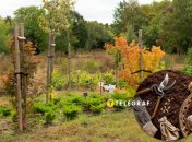 Сентябрьская посадка растений принесет потрясающие результаты