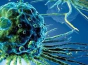 Ученые изобрели революционное лекарство от рака 