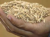 Украина в 2015/2016 году нарастила экспорт зерна на 14,5%