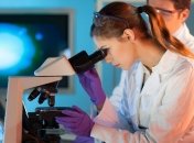 Набирает обороты процесс "усыновления" эмбрионов