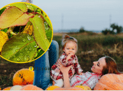Триває ідеальний вересень