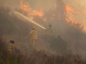 В Калифорнии бушуют лесные пожары: фото и видео