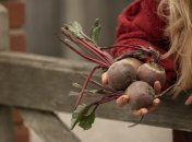 Качество выращенных овощей поразит