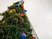 На главной площади Харькова засияла новогодняя елка