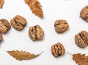 Калорийны, но невероятно полезны: в чем польза грецких орехов