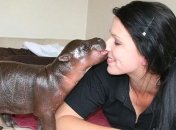 Для вашего хорошего настроения: умилительные фотографии бегемотиков