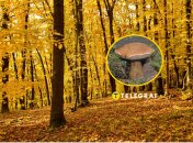 Желчный гриб или горчак