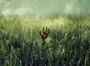 Netflix взялись за экранизацию книги Стивена Кинга