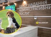 Колаж, "Телеграф"