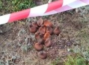 В Виннице прямо на улице нашли 13 килограммов ртути