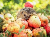 23 октября. Приметы дня