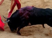 В Перу несовершеннолетним запретили смотреть корриду 