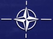 В НАТО довольны саперами с Украины