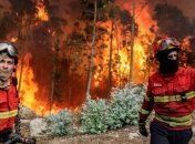 Масштабные пожары в Португалии: растет количество жертв 
