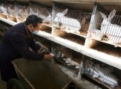 Какое мясо лучше?