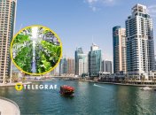 Современная ферма в Дубае