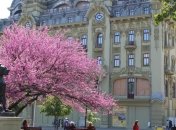 Сьогодні в Україні тепло до +28, без опадів