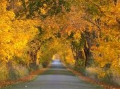 Бабье лето врывается в Украину: "теплый" прогноз на 9-10 октября