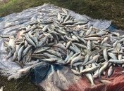 Пограничники задержали браконьеров