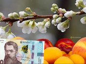 Ночные "минусы" подтолкнут цены вверх