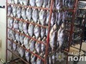 В Днепре полиция обнаружила нелегальный цех по копчению рыбы 