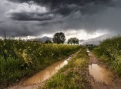 В Украине в ближайшие сутки сохраняется прохладная погода с дождями